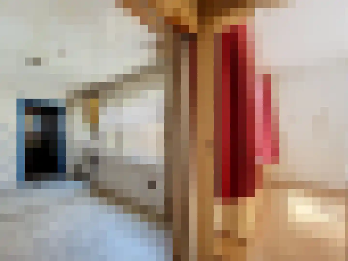 Bredestraat 42 Oostburg thumbnail 5