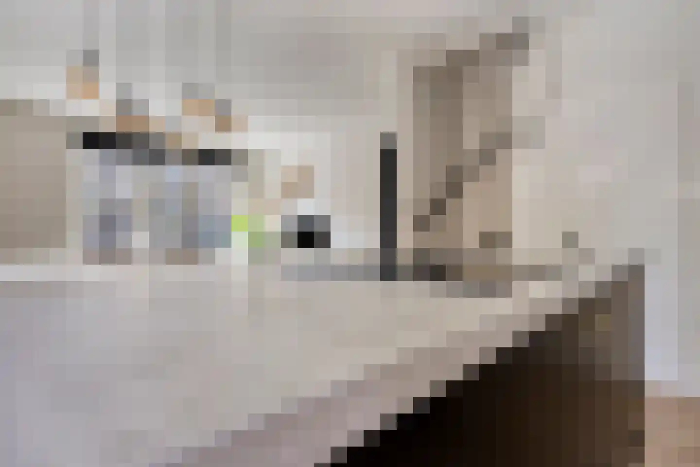 Bredestraat 47 B Rotterdam thumbnail 8