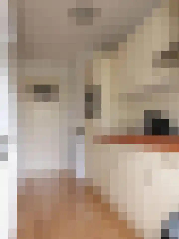 Bredestraat 5 D Rotterdam thumbnail 4