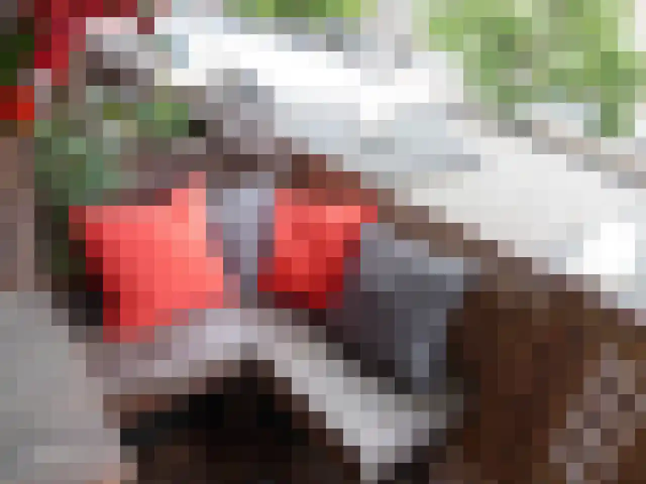 Bredestraat 5 D Rotterdam thumbnail 5