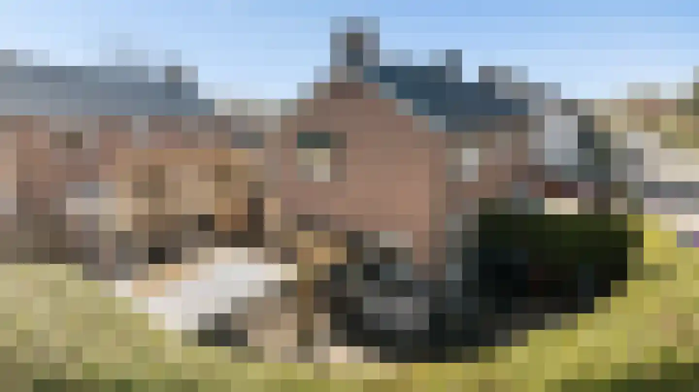 Bredestraat 59 Huissen thumbnail 19