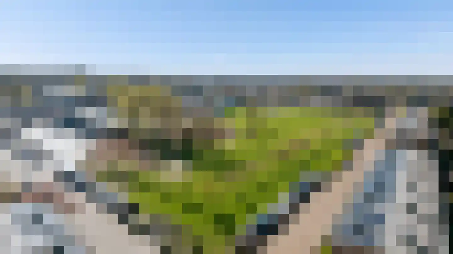 Bredestraat 59 Huissen thumbnail 34