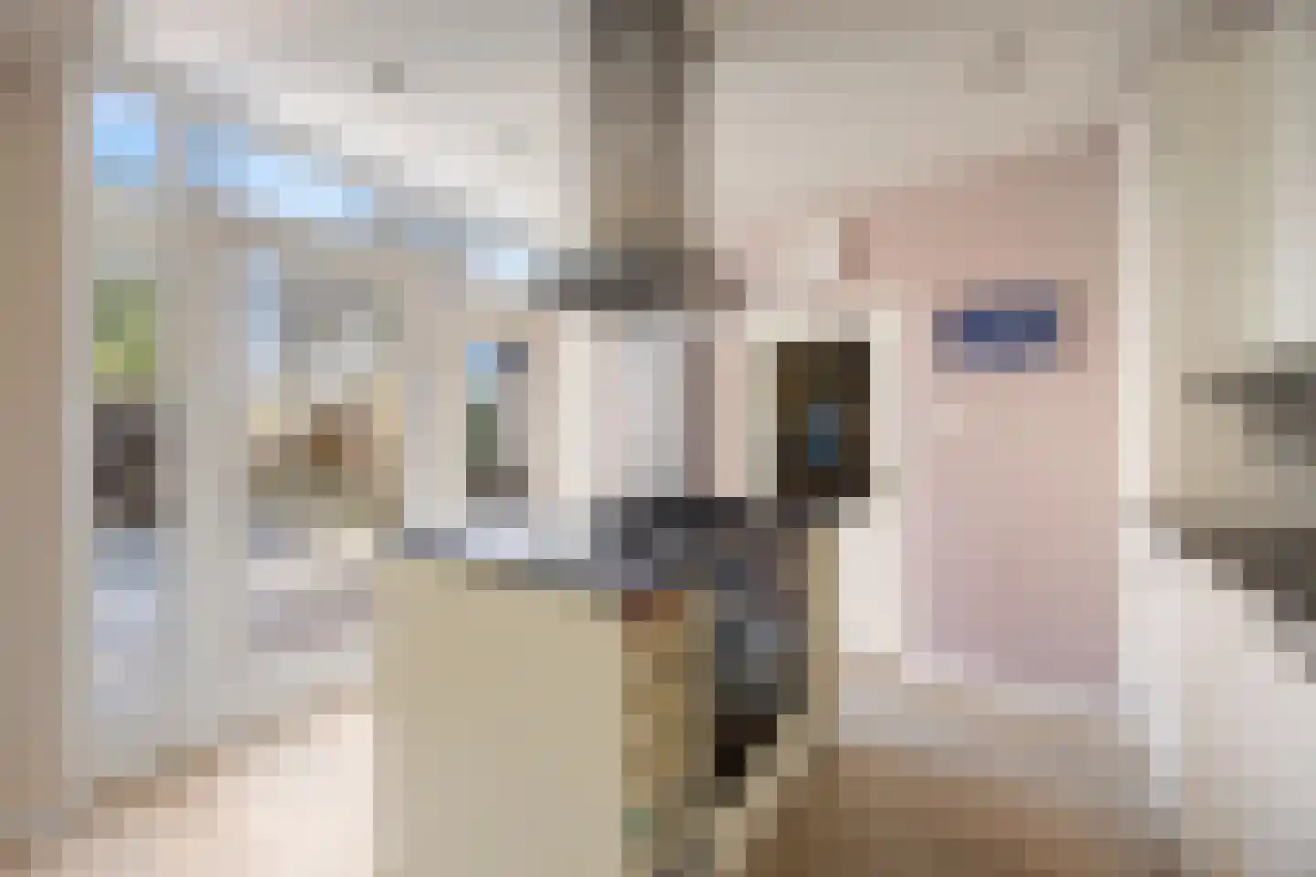Bredestraat 59 Huissen thumbnail 8