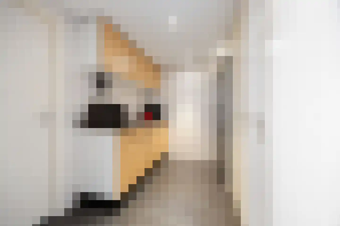 Bredestraat 59 Huissen thumbnail 9