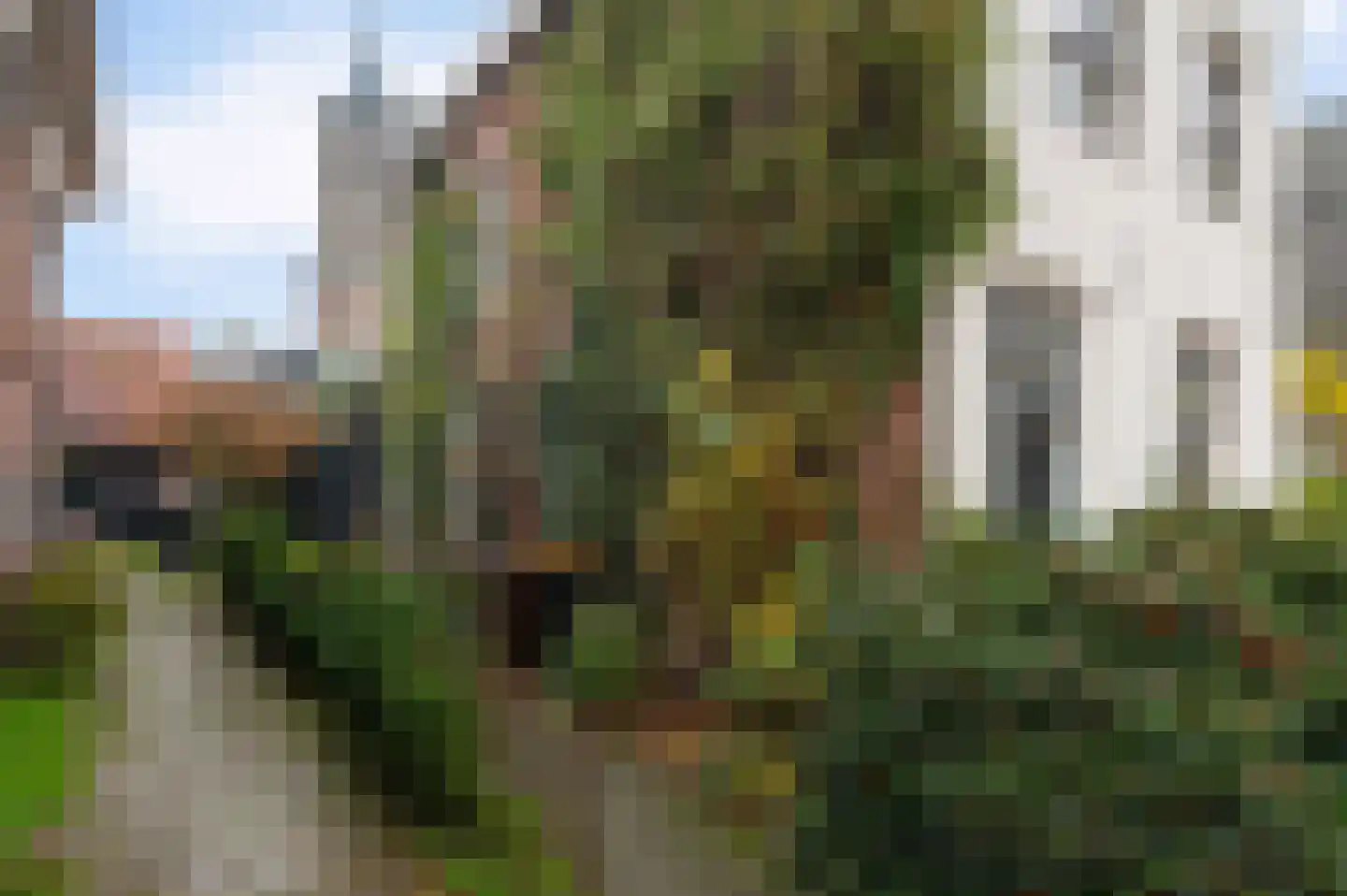 Bredestraat 6 Loenen aan de Vecht thumbnail 6