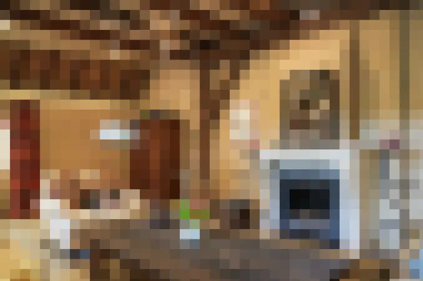 Bredestraat 6 Zennewijnen thumbnail 18