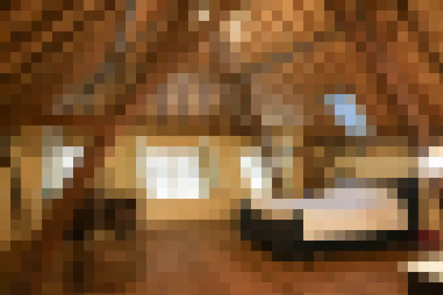 Bredestraat 6 Zennewijnen thumbnail 25