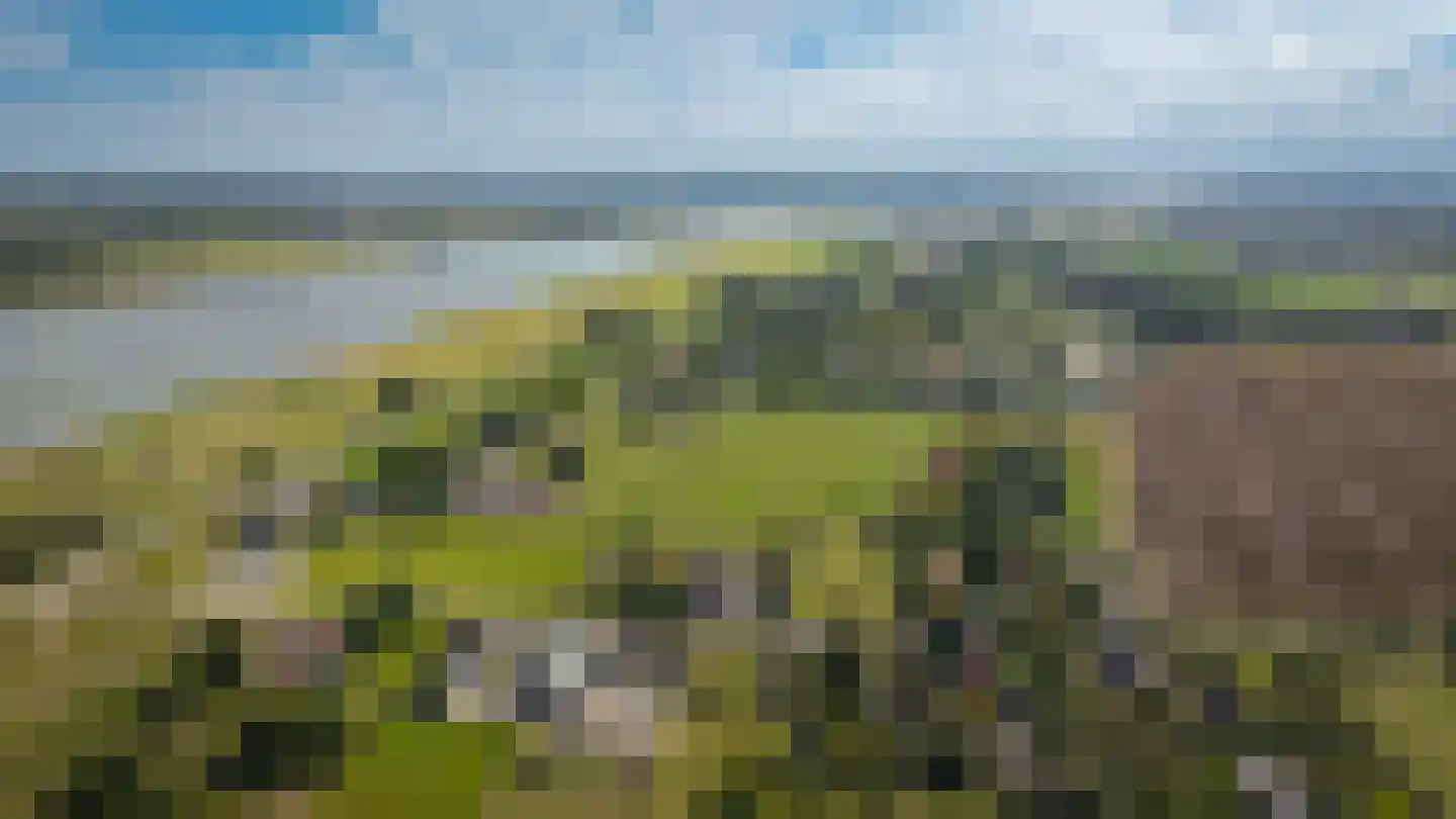 Bredestraat 6 Zennewijnen thumbnail 35