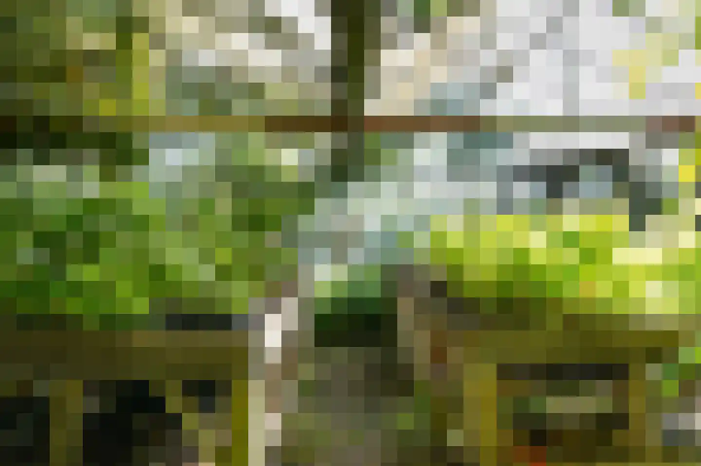 Bredestraat 6 Zennewijnen thumbnail 37