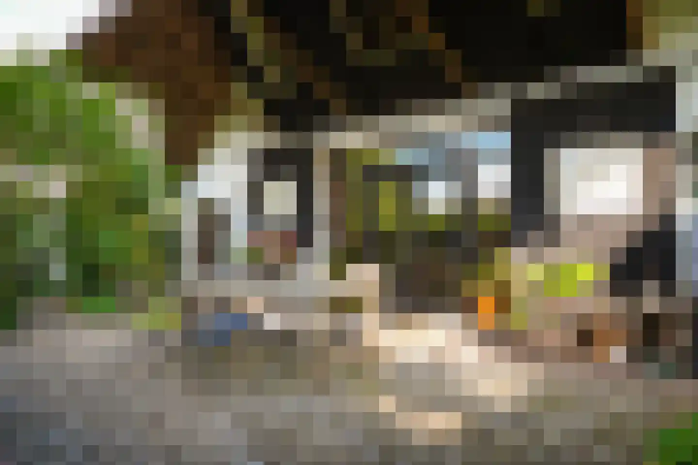 Bredestraat 6 Zennewijnen thumbnail 4