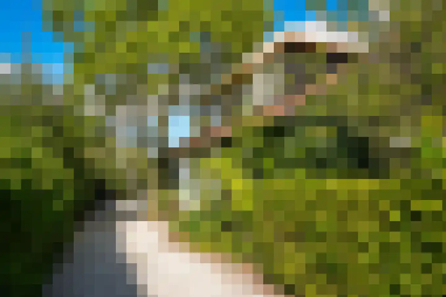 Bredestraat 6 Zennewijnen thumbnail 40