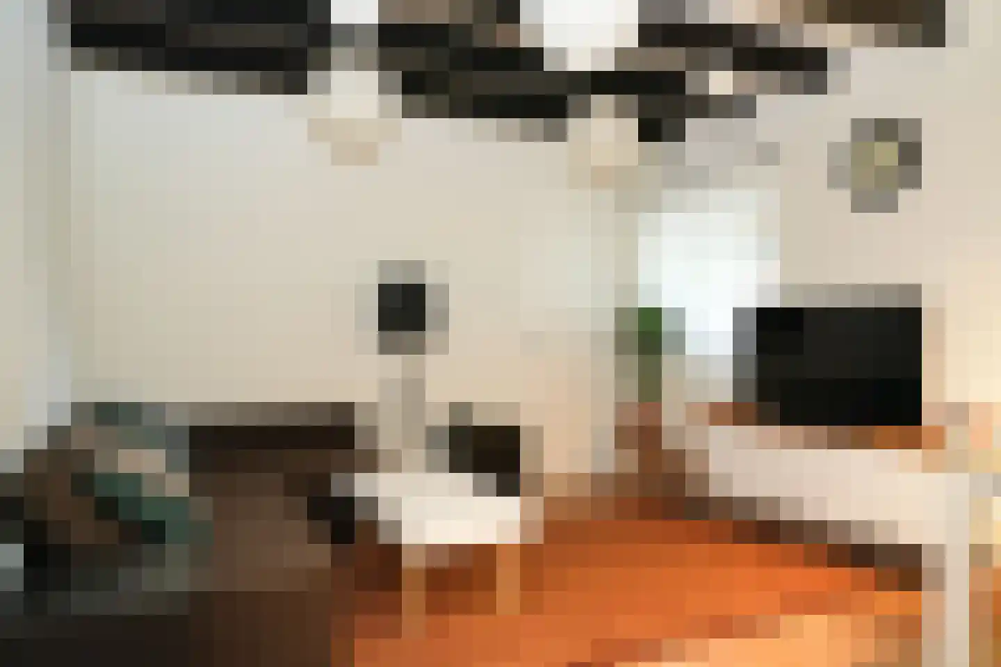 Bredestraat 6 Zennewijnen thumbnail 42