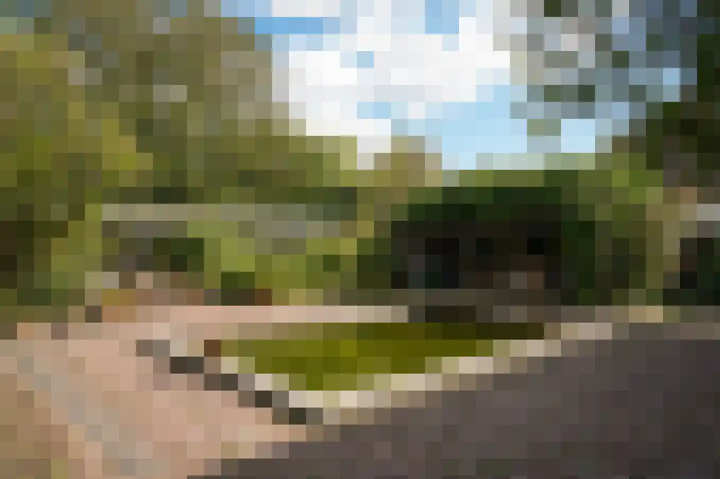 Bredestraat 6 Zennewijnen thumbnail 51