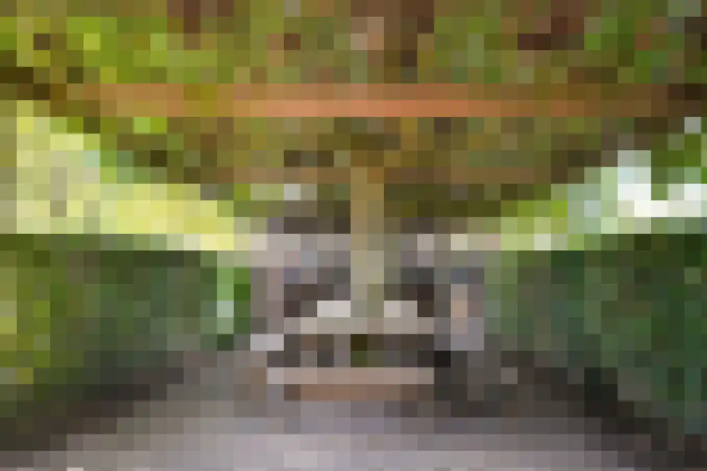 Bredestraat 6 Zennewijnen thumbnail 56