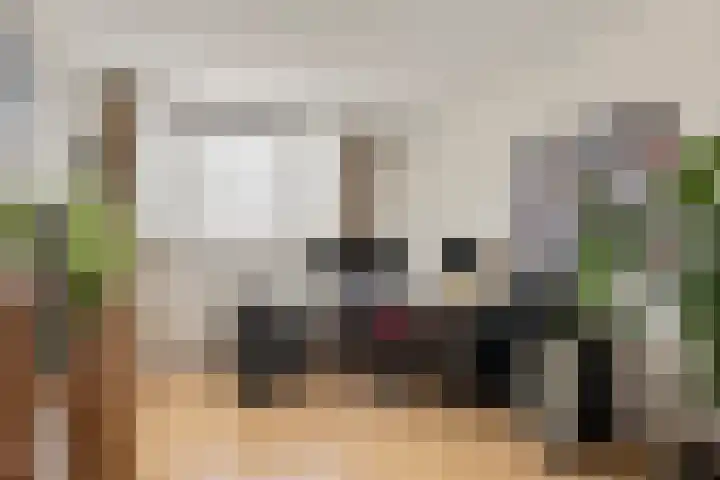Bredestraat 60 Huissen thumbnail 22