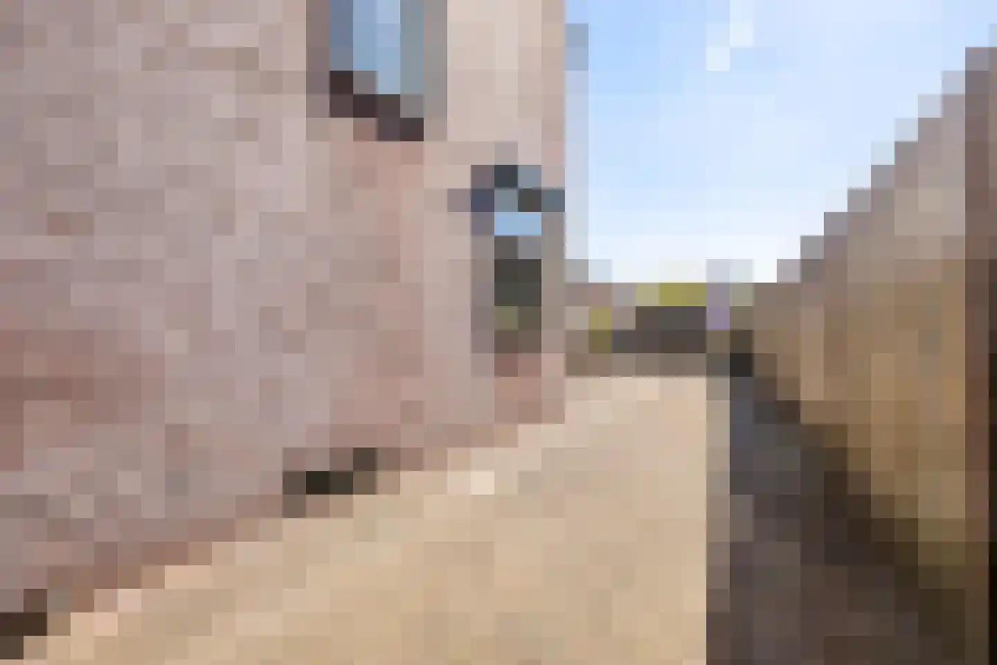 Bredestraat 83 Huissen thumbnail 25