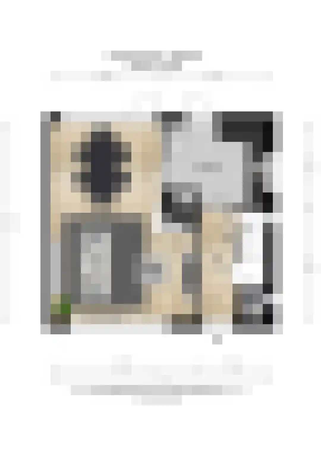 Bredestraat 83 Huissen thumbnail 31