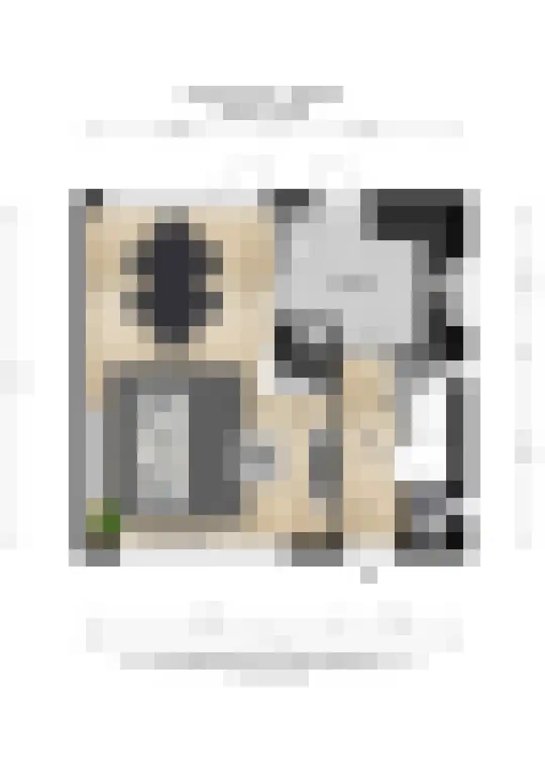 Bredestraat 83 Huissen thumbnail 31