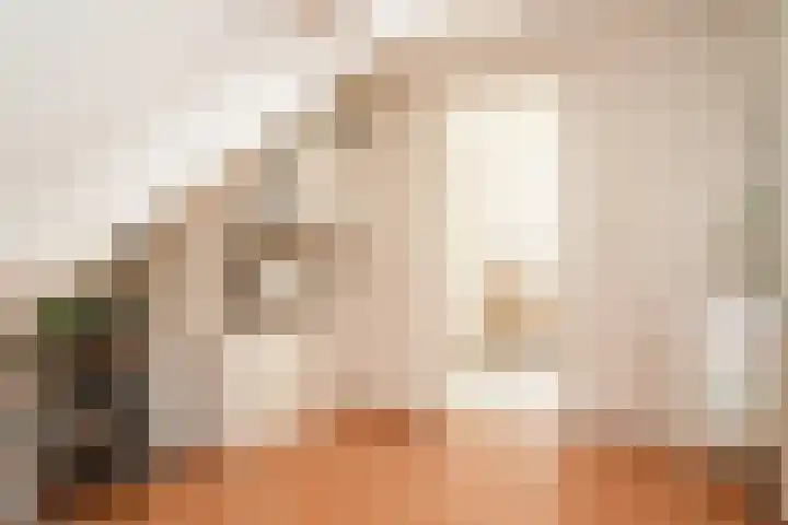 Bredestraat 9 a Meteren thumbnail 32