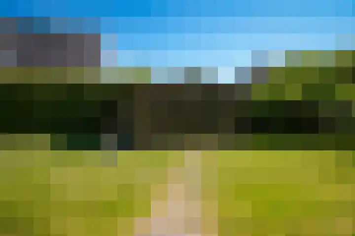 Bredestraat 9 a Meteren thumbnail 43