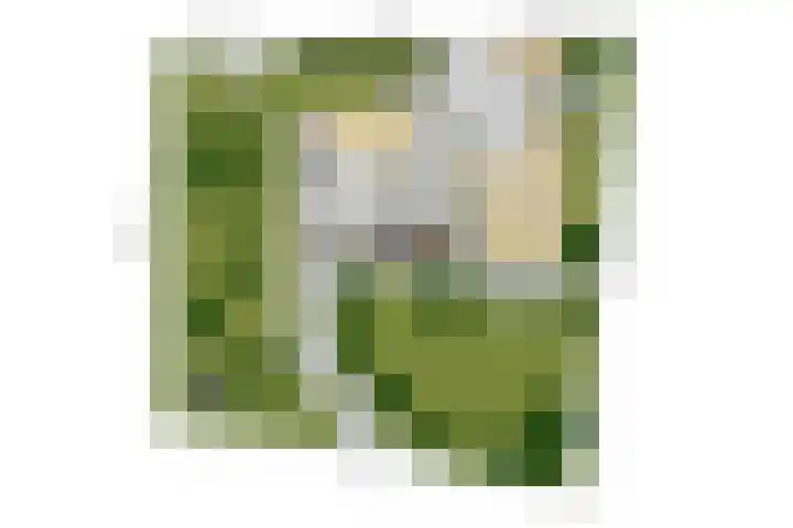 Bredestraat-Zuid 42 Herveld thumbnail 9