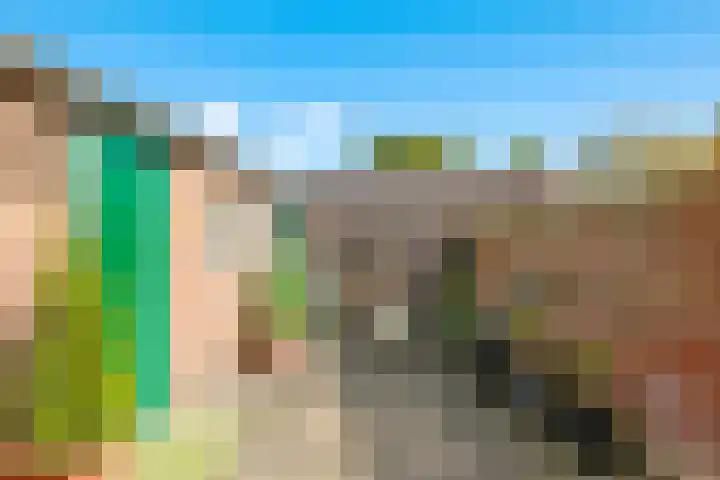 Bredestraat-Zuid 6 Herveld thumbnail 52