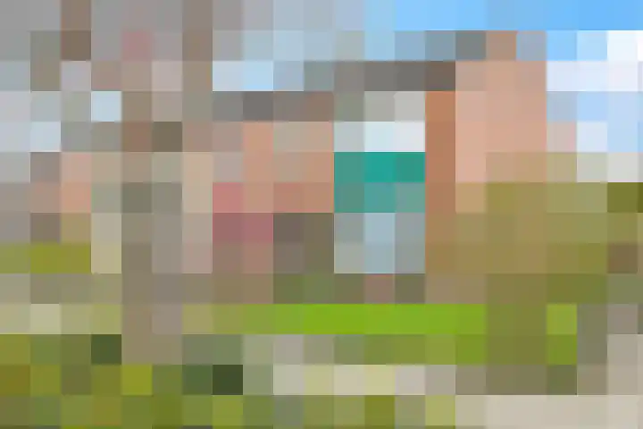 Bredestraat-Zuid 6 Herveld thumbnail 54
