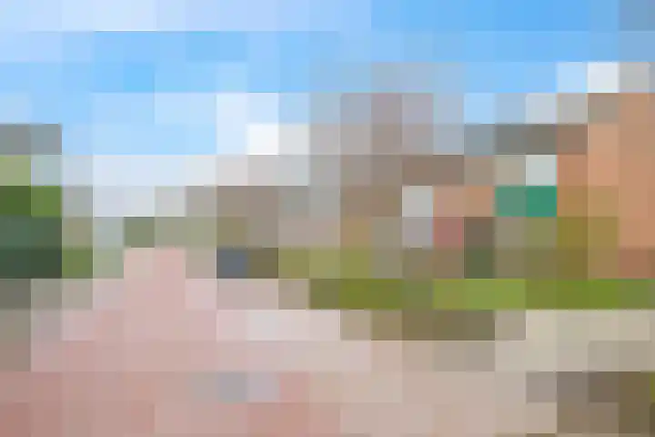 Bredestraat-Zuid 6 Herveld thumbnail 58
