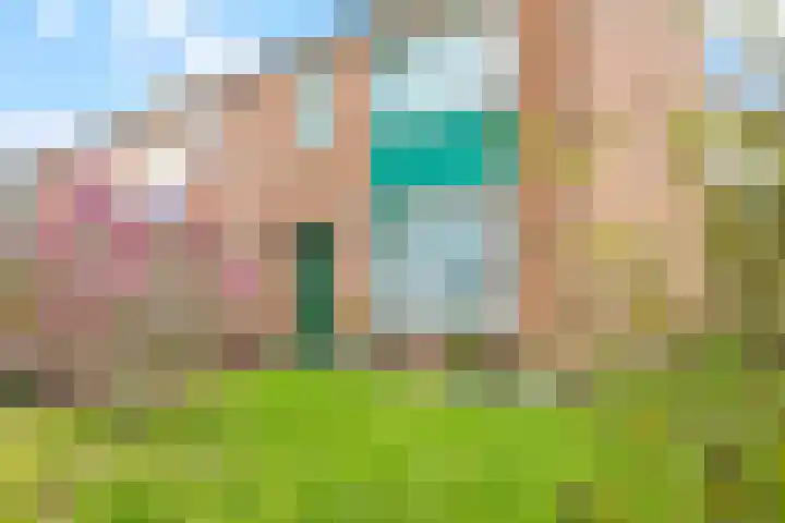 Bredestraat-Zuid 6 Herveld thumbnail 59