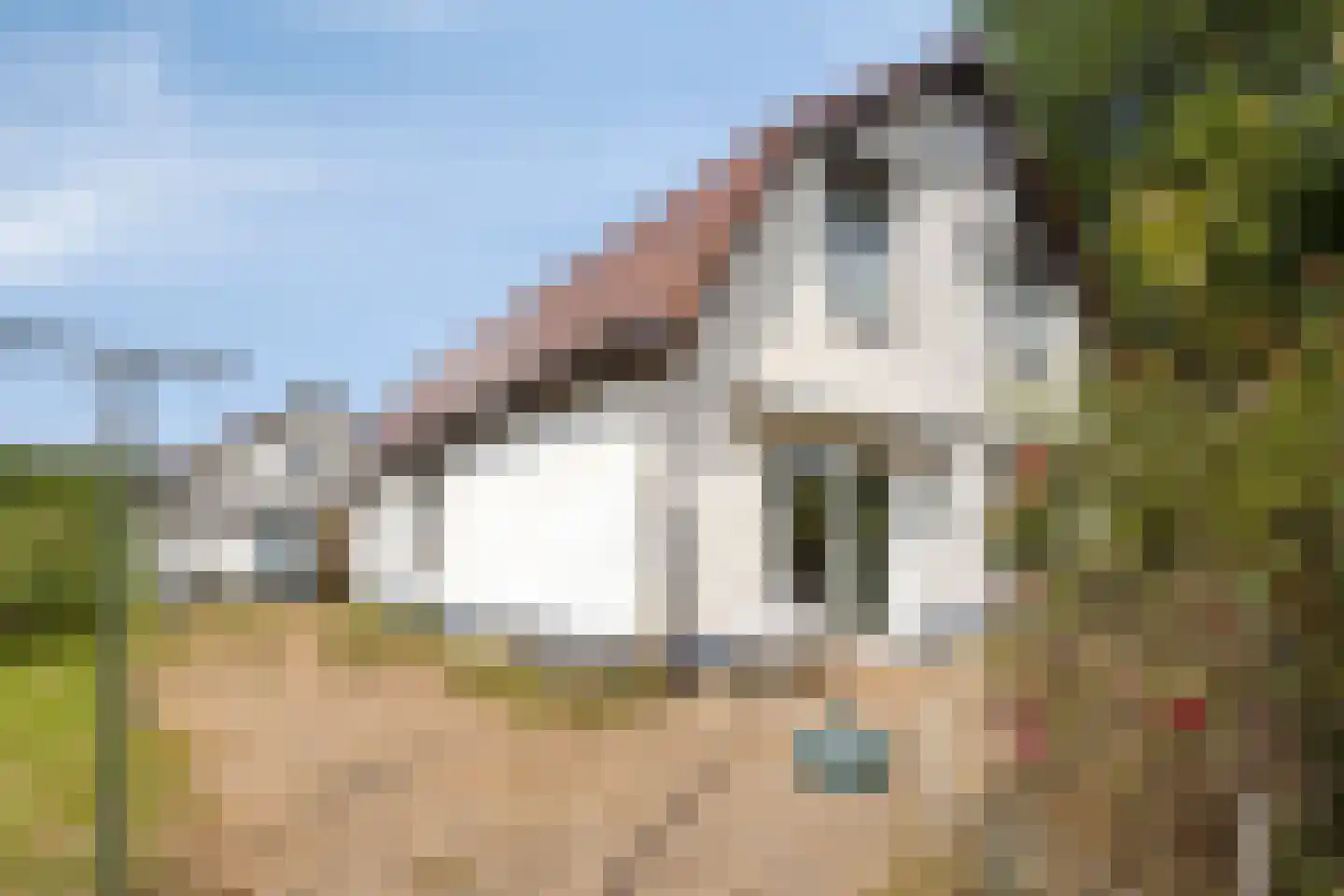 Bredestraat-Zuid 61 Herveld thumbnail 46