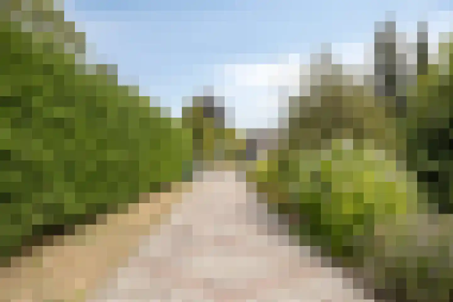 Bredestraat-Zuid 61 Herveld thumbnail 7