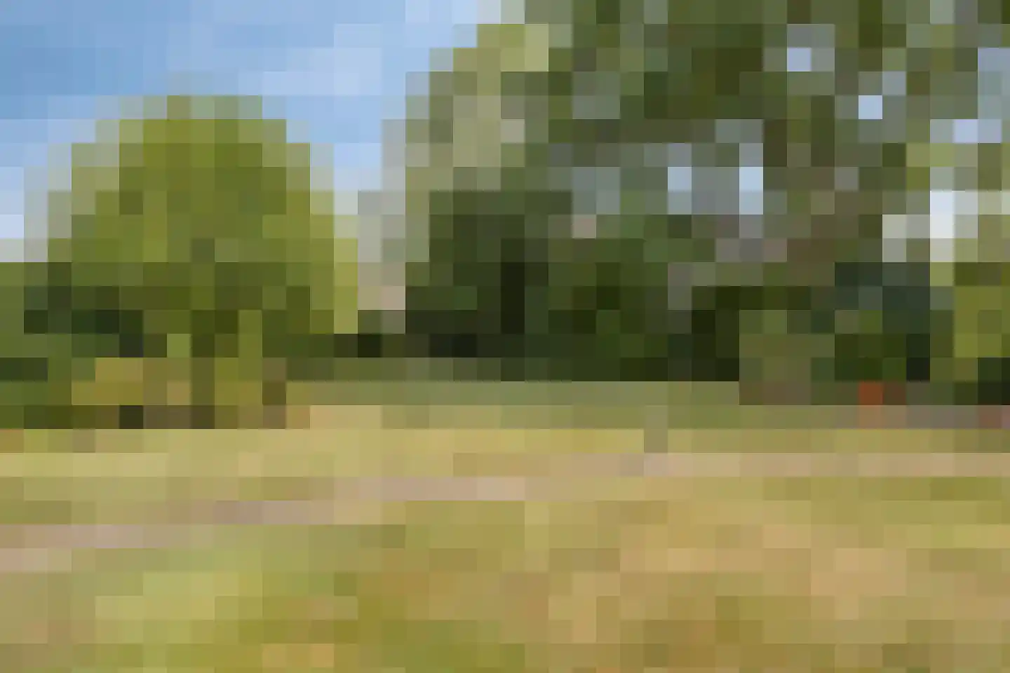 Bredestraat-Zuid 61 Herveld thumbnail 9