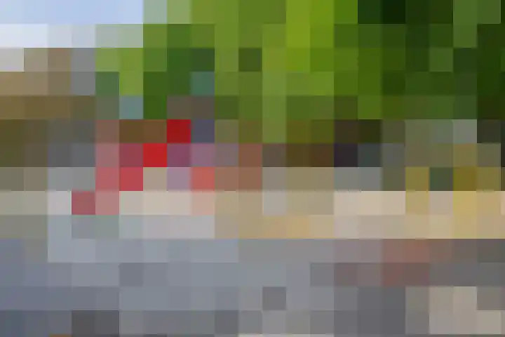 Bredestraathof 9 B Rotterdam thumbnail 5