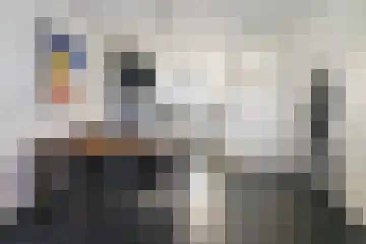 Bredevaert 35 Kaatsheuvel thumbnail 11