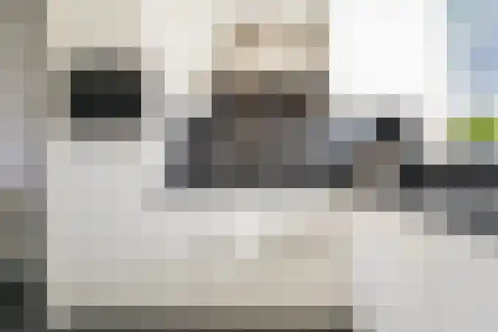 Bredevaert 35 Kaatsheuvel thumbnail 13