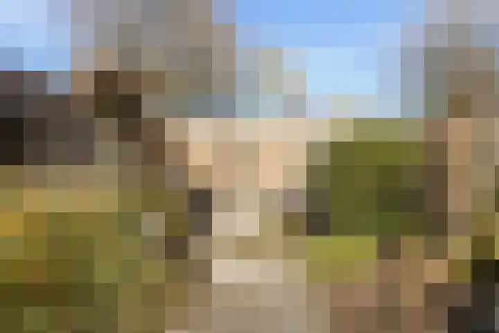 Bredevaert 35 Kaatsheuvel thumbnail 29
