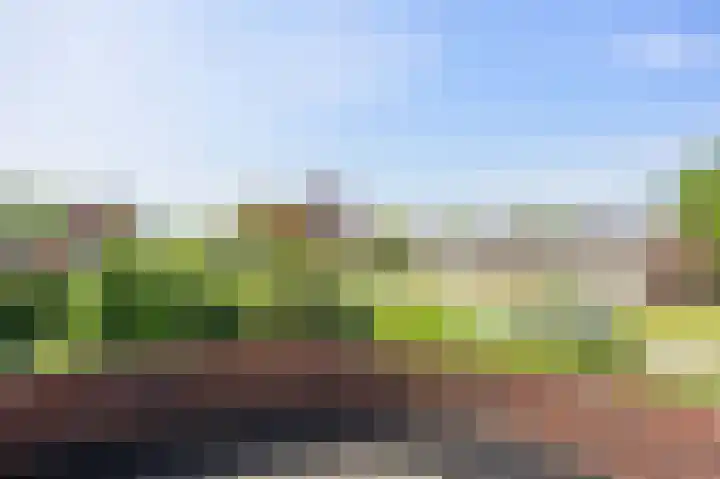 Bredeweg 1 Kantens thumbnail 37