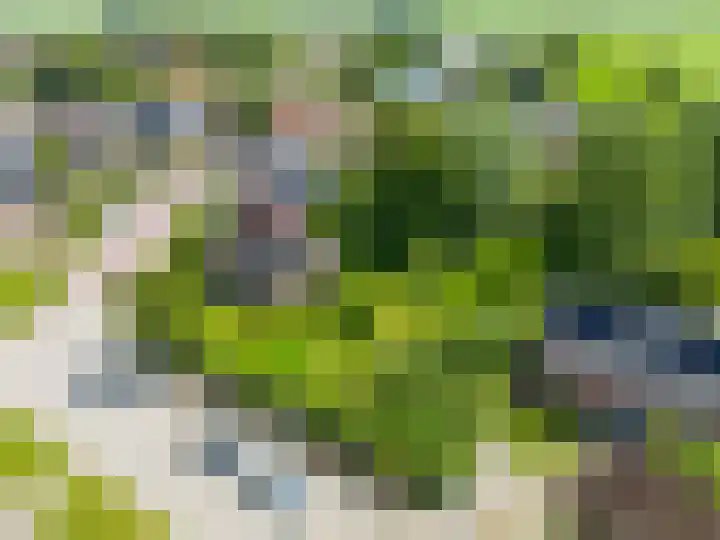 Bredeweg 1 Kantens thumbnail 58