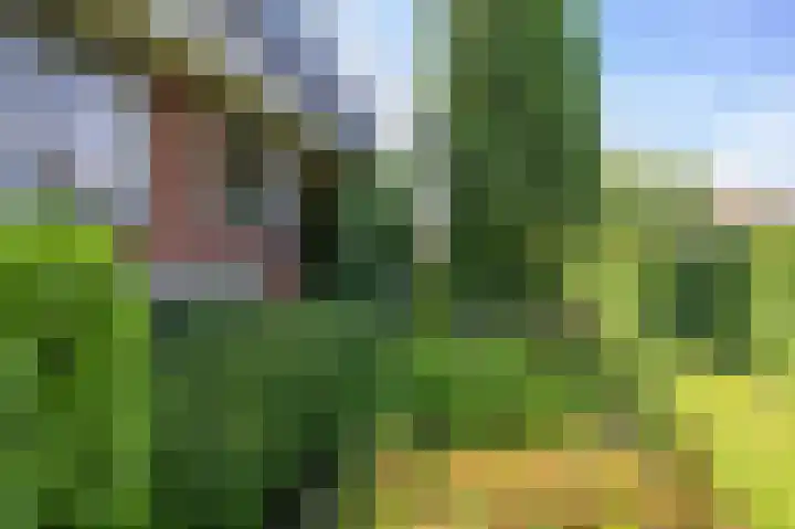 Bredeweg 1 Kantens thumbnail 9