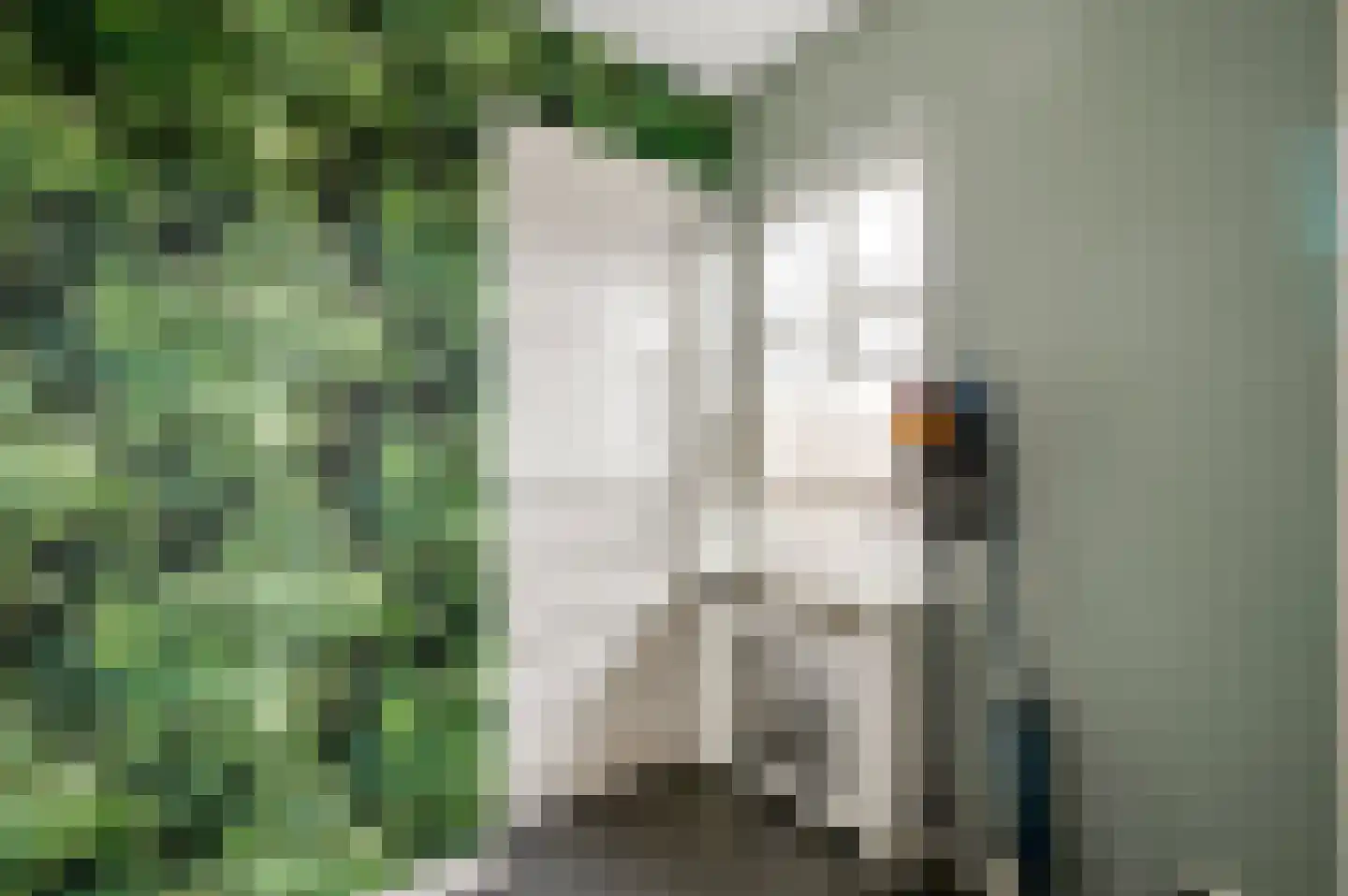 Bredeweg 111 Roermond thumbnail 21