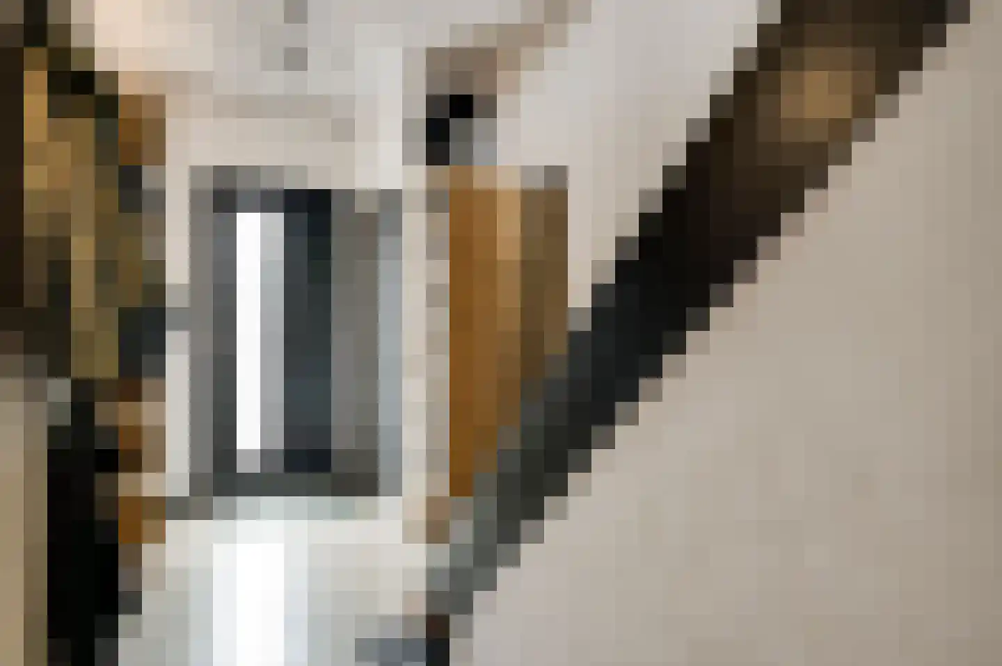 Bredeweg 111 Roermond thumbnail 7