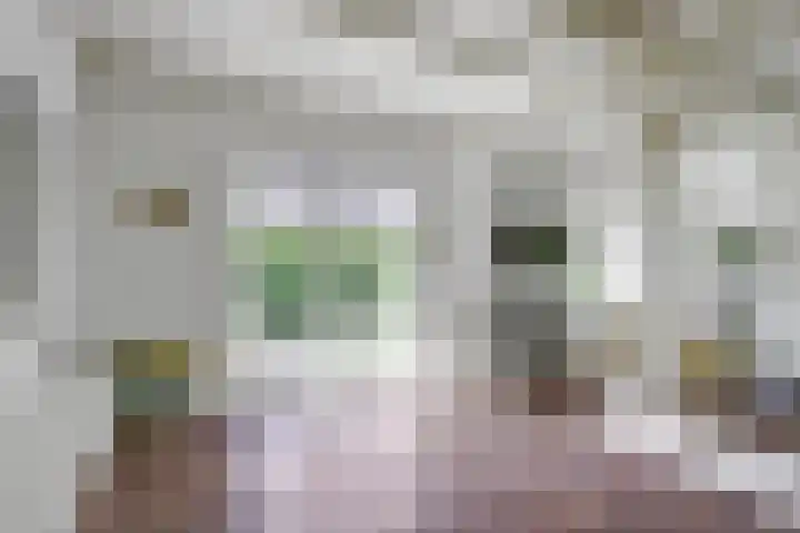 Bredeweg 13 Sirjansland thumbnail 12