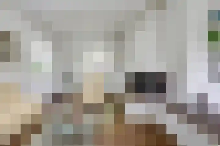 Bredeweg 13 Sirjansland thumbnail 13