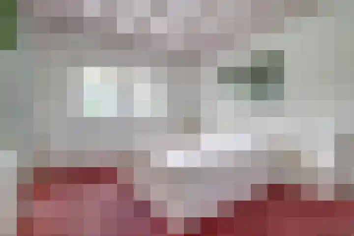 Bredeweg 13 Sirjansland thumbnail 24