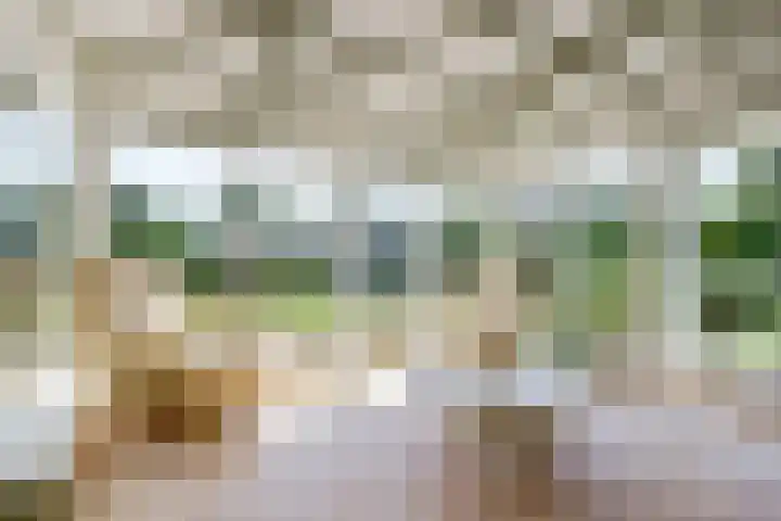 Bredeweg 13 Sirjansland thumbnail 28
