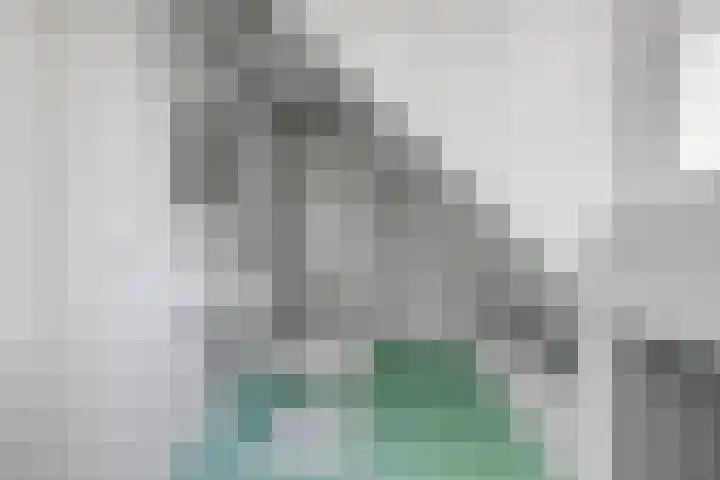 Bredeweg 13 Sirjansland thumbnail 36