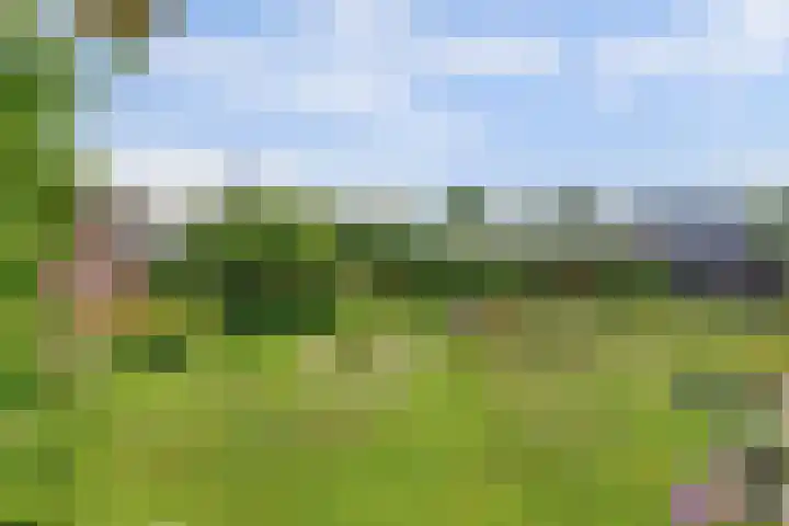 Bredeweg 13 Sirjansland thumbnail 4