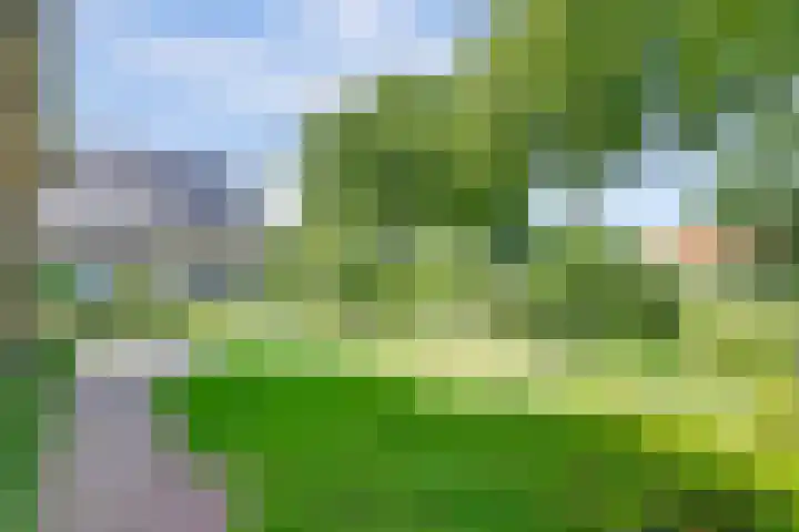 Bredeweg 13 Sirjansland thumbnail 42