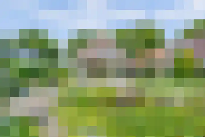 Bredeweg 13 Sirjansland thumbnail 44