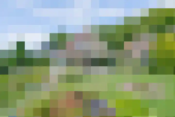 Bredeweg 13 Sirjansland thumbnail 45
